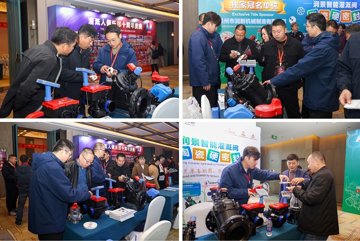 1765155258523369.jpg 501.JPG